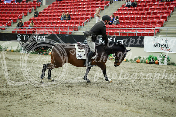 03603 - Mara - 2026 Royal West - Wednesday October 21st