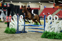 00622 - Mara - 2026 Royal West - Saturday October 2th