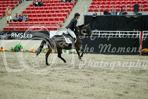 03693 - Mara - 2026 Royal West - Wednesday October 21st
