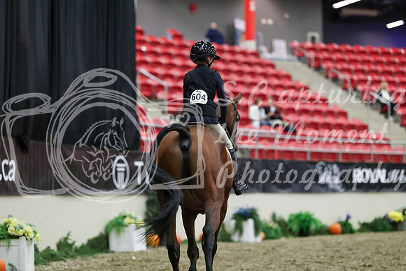00078 - Mara - 2026 Royal West - Tuesday October 20th
