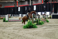 04049 - Mara - 2026 Royal West - Tuesday October 20th