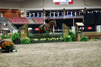 01503 - Mara - 2026 Royal West - Tuesday October 20th