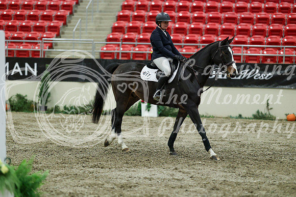 00849 - Mara - 2026 Royal West - Friday October 23rd