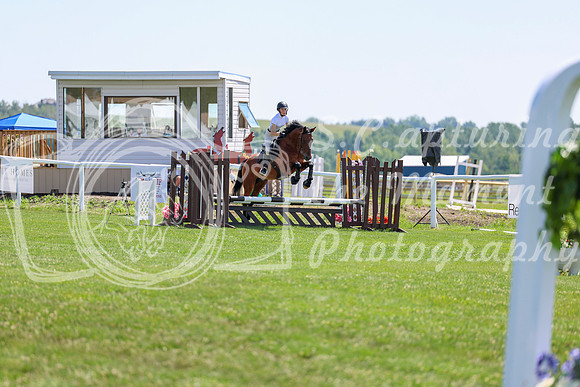 2025 - Shea - Teesdale - Thursday July 24th - 01634