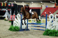 00624 - Mara - 2026 Royal West - Saturday October 2th