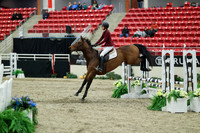 00616 - Mara - 2026 Royal West - Saturday October 2th