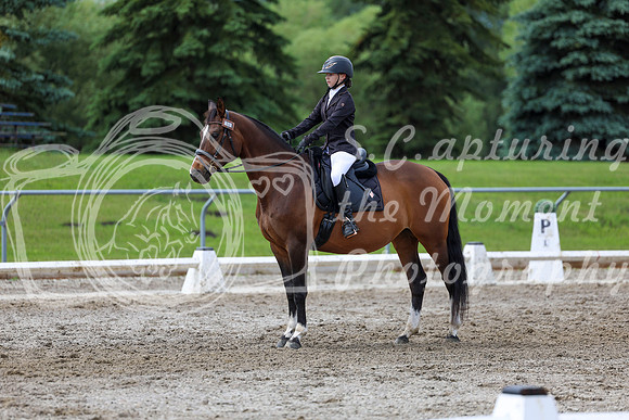 2025 - Dressage Festival - Sunday July 6th - 14417