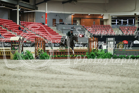 01183 - Mara - 2026 Royal West - Saturday October 17th