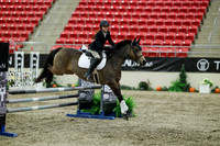 03613 - Mara - 2026 Royal West - Friday October 16th