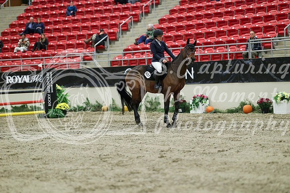 02661 - Mara - 2026 Royal West - Thursday October 22nd