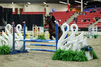 00296 - Mara - 2026 Royal West - Saturday October 2th