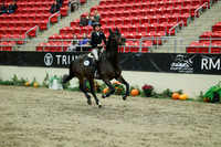 01499 - Mara - 2026 Royal West - Wednesday October 21st