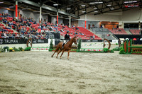 07250 - Mara - 2026 Royal West - Saturday October 17th