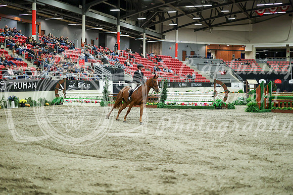 07250 - Mara - 2026 Royal West - Saturday October 17th