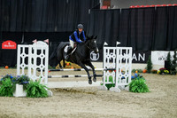 02753 - Mara - 2026 Royal West - Thursday October 22nd