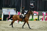 07300 - Mara - 2026 Royal West - Friday October 16th