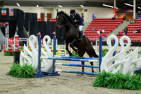 00363 - Mara - 2026 Royal West - Saturday October 2th