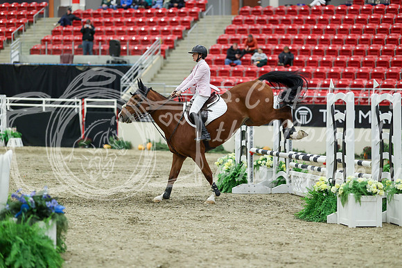 01252 - Mara - 2026 Royal West - Saturday October 2th