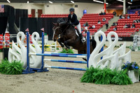 00084 - Mara - 2026 Royal West - Saturday October 2th