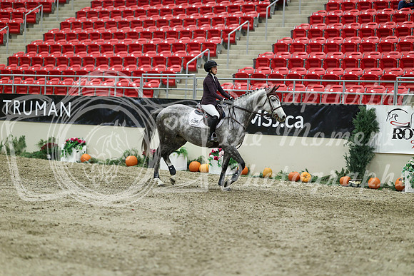 03673 - Mara - 2026 Royal West - Thursday October 22nd