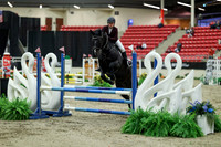 00491 - Mara - 2026 Royal West - Saturday October 2th