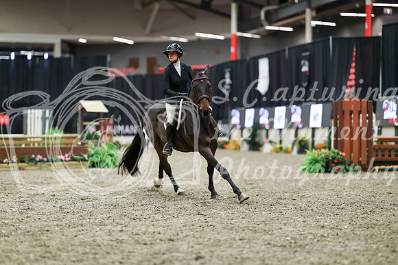 01018 - Mara - 2026 Royal West - Tuesday October 20th