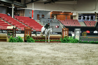 02641 - Mara - 2026 Royal West - Saturday October 17th