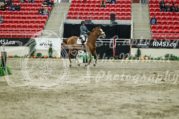 06406 - Mara - 2026 Royal West - Saturday October 24th