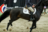 06011 - Mara - 2026 Royal West - Sunday October 18th