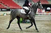 07080 - Mara - 2026 Royal West - Sunday October 18th