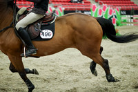 03918 - Mara - 2026 Royal West - Wednesday October 21st