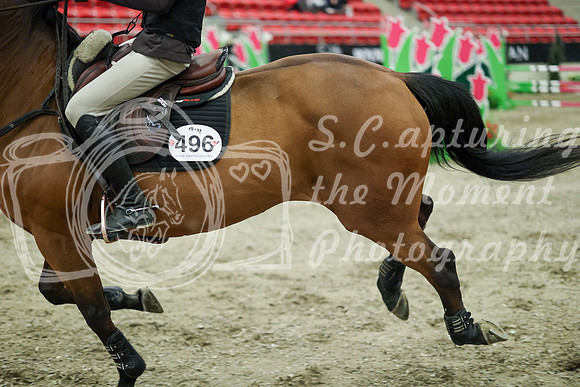 03918 - Mara - 2026 Royal West - Wednesday October 21st