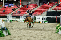 01403 - Mara - 2026 Royal West - Saturday October 2th