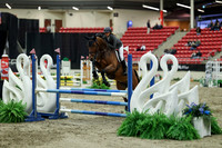 01469 - Mara - 2026 Royal West - Saturday October 2th