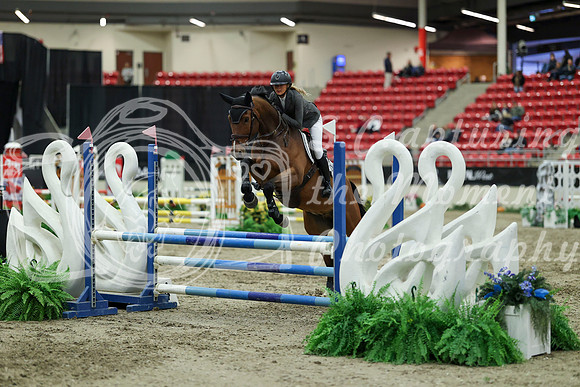 01469 - Mara - 2026 Royal West - Saturday October 2th