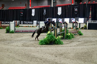 03649 - Mara - 2026 Royal West - Tuesday October 20th
