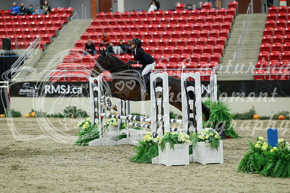 01027 - Mara - 2026 Royal West - Saturday October 2th