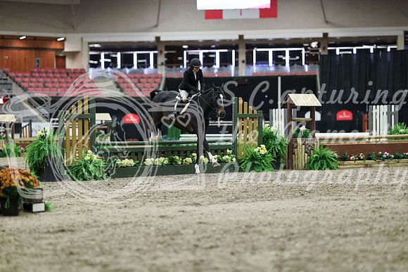 00030 - Mara - 2026 Royal West - Tuesday October 20th