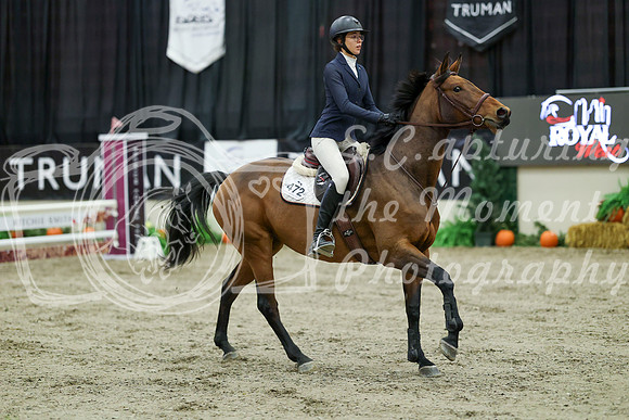 00373 - Mara - 2026 Royal West - Wednesday October 21st
