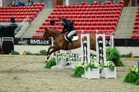 00851 - Mara - 2026 Royal West - Saturday October 2th