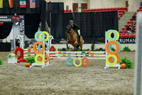 02541 - Mara - 2026 Royal West - Thursday October 15th