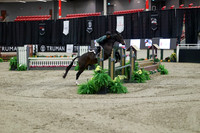 03726 - Mara - 2026 Royal West - Tuesday October 20th