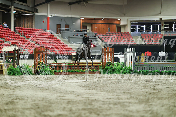 02679 - Mara - 2026 Royal West - Saturday October 17th