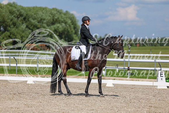 2025 - Dressage Festival - Saturday July 5th - 15230