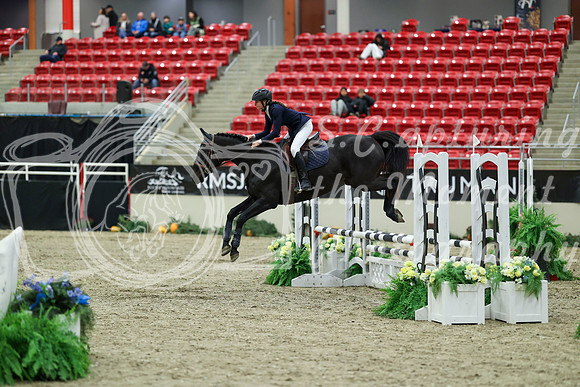 00215 - Mara - 2026 Royal West - Saturday October 2th