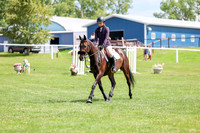 2025 - Shea - Teesdale - Thursday July 24th - 00628