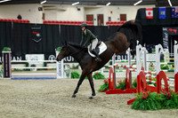 07183 - Mara - 2026 Royal West - Thursday October 22nd
