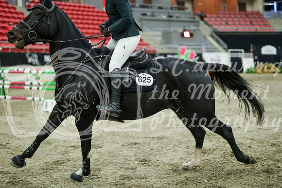04585 - Mara - 2026 Royal West - Wednesday October 21st