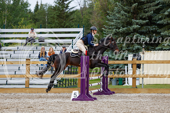 2025 - Haylee - Picco Horse Show - Friay July 25th 02014