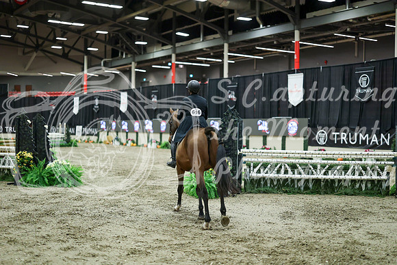 08819 - Mara - 2026 Royal West - Saturday October 17th